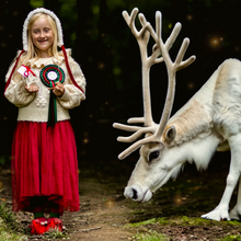 Magic Reindeer Food