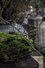 Wire Basket