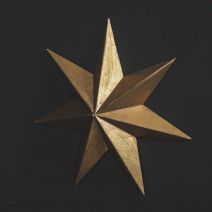 Beatrix Gold Star