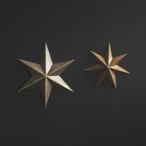 Beatrix Gold Star