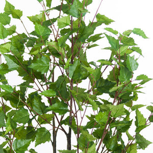 Artificial Birch Tree