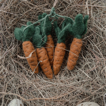 Handmade Hanging Carrots (Bag of 5) Biodegradable Hanging Decoration