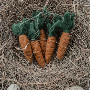 Handmade Hanging Carrots (Bag of 5) Biodegradable Hanging Decoration