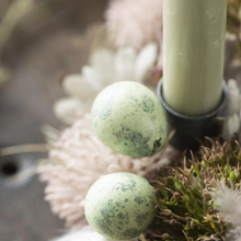 Box of 60 Light Green Quail Eggs