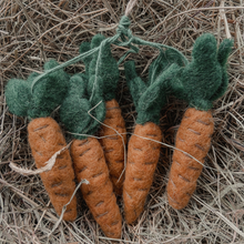 Handmade Hanging Carrots (Bag of 5) Biodegradable Hanging Decoration