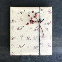 Kraft Wrap 5m Roll-Robins