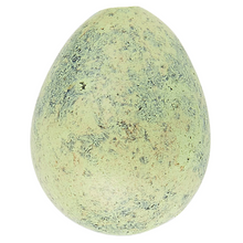 Box of 60 Light Green Quail Eggs