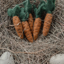 Handmade Hanging Carrots (Bag of 5) Biodegradable Hanging Decoration