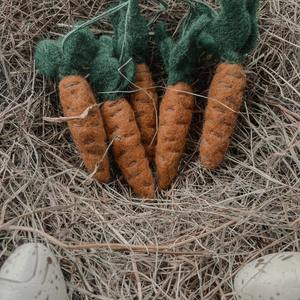 Handmade Hanging Carrots (Bag of 5) Biodegradable Hanging Decoration
