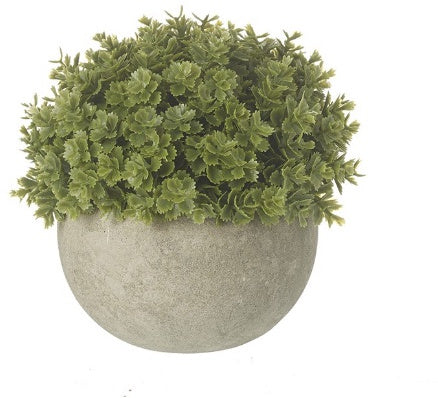 Mia Potted Plant