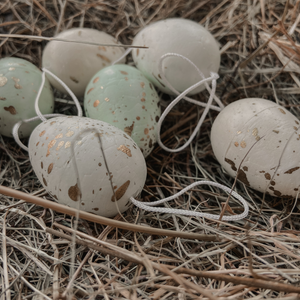 6 Pastel Hanging Easter Eggs