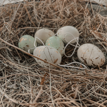 6 Pastel Hanging Easter Eggs