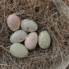 Set of 6 Hanging Easter Eggs