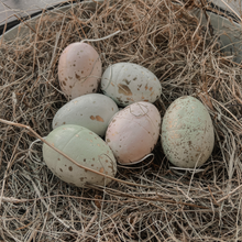 Set of 6 Hanging Easter Eggs