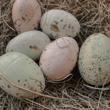 Set of 6 Hanging Easter Eggs