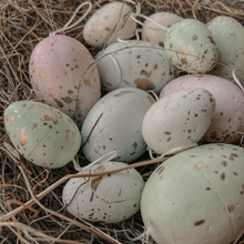 Set of 6 Hanging Easter Eggs