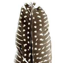 Natural Feathers - pack of 3