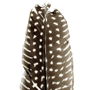 Natural Feathers - pack of 3