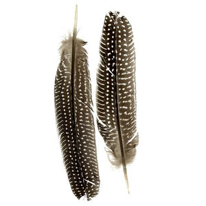 Natural Feathers - pack of 3