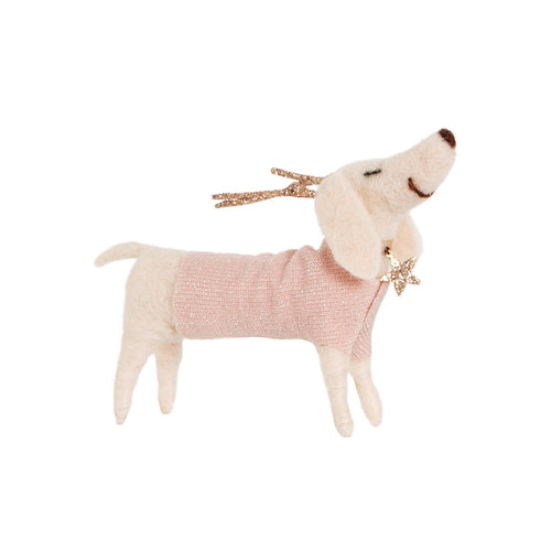 Darcey Dachshund