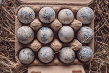 Box of 12 Quail Egg's - White Marbled