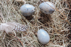 Box of 12 Quail Egg's - Grey Marble