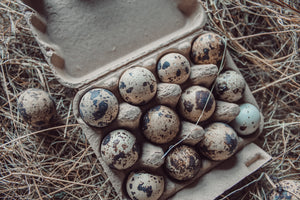 Box of 12 Quail Egg's - Natural