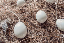 Porcelain egg-Plain