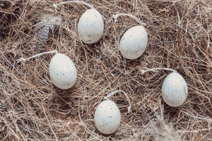 Porcelain egg-Bird speckles