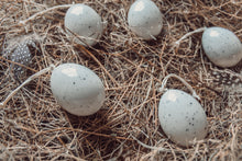 Porcelain egg-Bird speckles