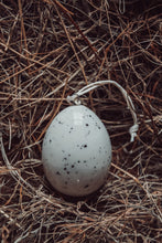 Porcelain egg-Bird speckles