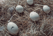 Porcelain egg-Bunnies