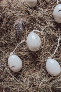 Porcelain egg-Bird speckles