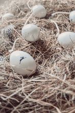 Porcelain egg-Bird speckles