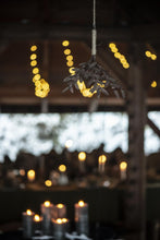 Hanging Mistletoe- Rust