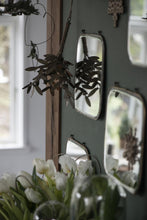 Hanging Mistletoe- Rust