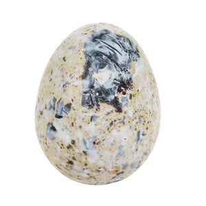Box of 12 Quail Egg's - White Marbled