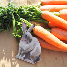 Cotton-tail Wooden Bunny Tag