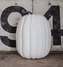 Rustic White Pumpkins With Faux Wooden Top