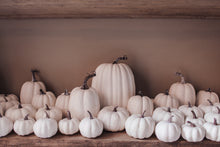 Rustic White Pumpkins With Faux Wooden Top