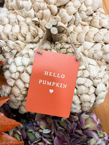 Hello Pumpkin Mini Metal Sign