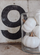 Mini White Pumpkin